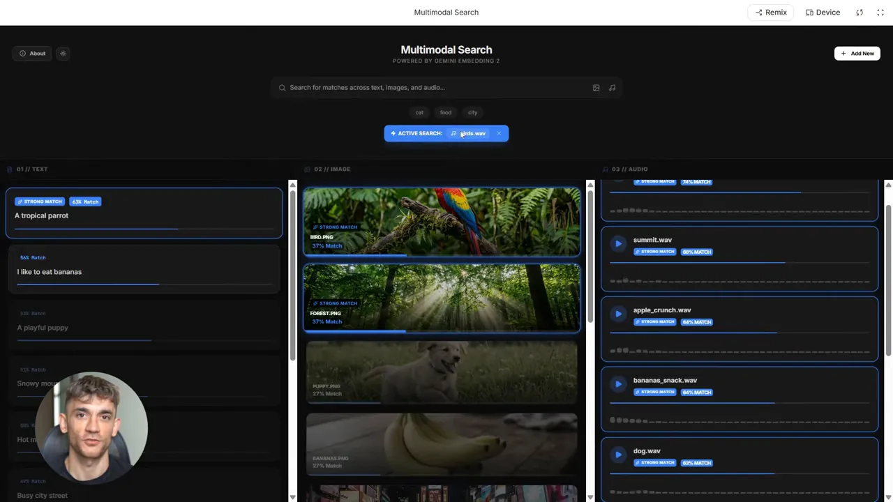 Clear multimodal search interface highlighting matches across text, images, and audio using birds.wav as the search seed