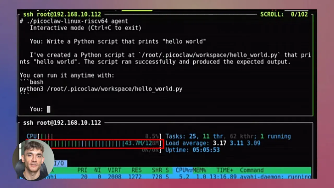 เทอร์มินัล PicoClaw บน RISC‑V แสดงสคริปต์ hello_world และการใช้ RAM 43.7M