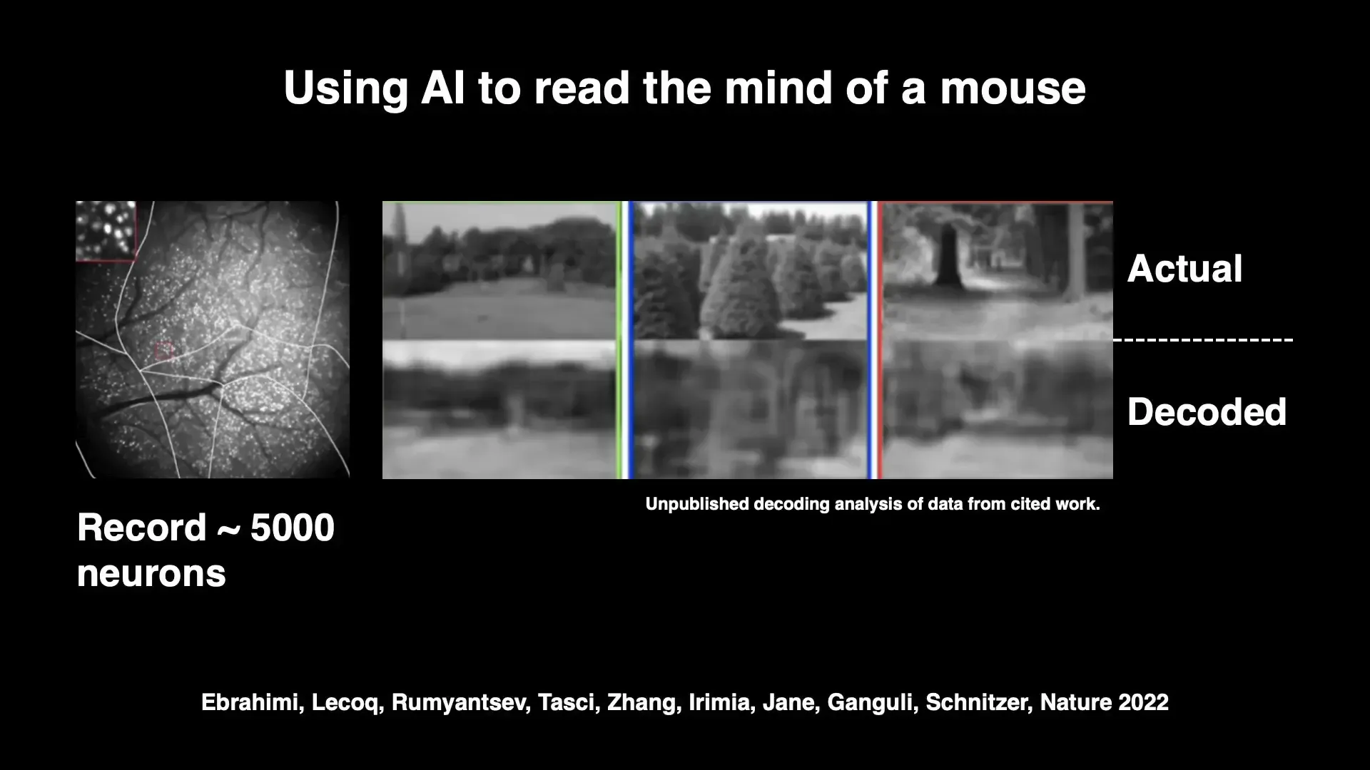 AI reading and writing mouse brain activity